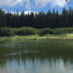 Meet your Posher, Maya